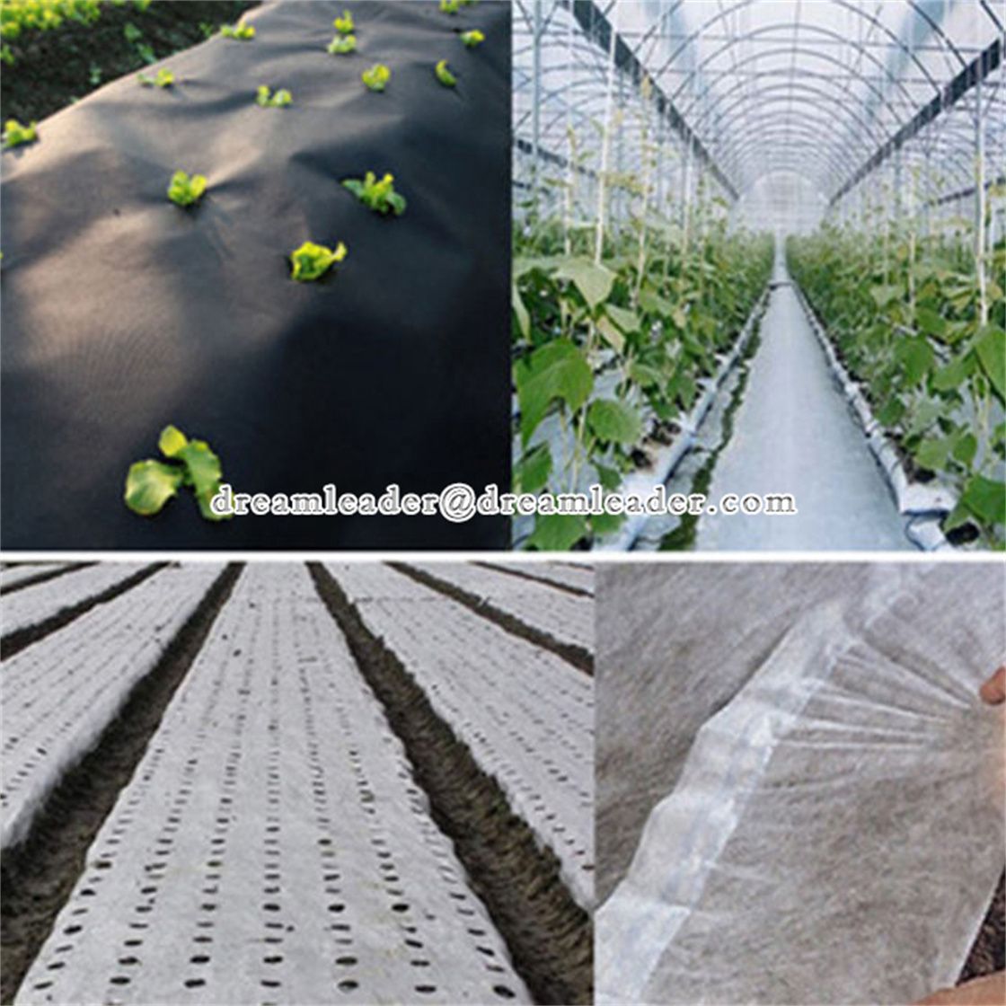 china weed control pp nonwoven fabric factory